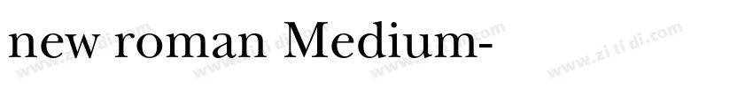 new roman Medium字体转换